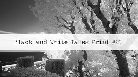 Black and White Tales, Print 29