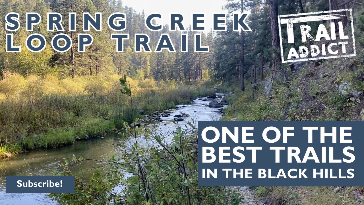 We hiked the Spring Creek Loop Trail (one of the best trails in the Black Hills)