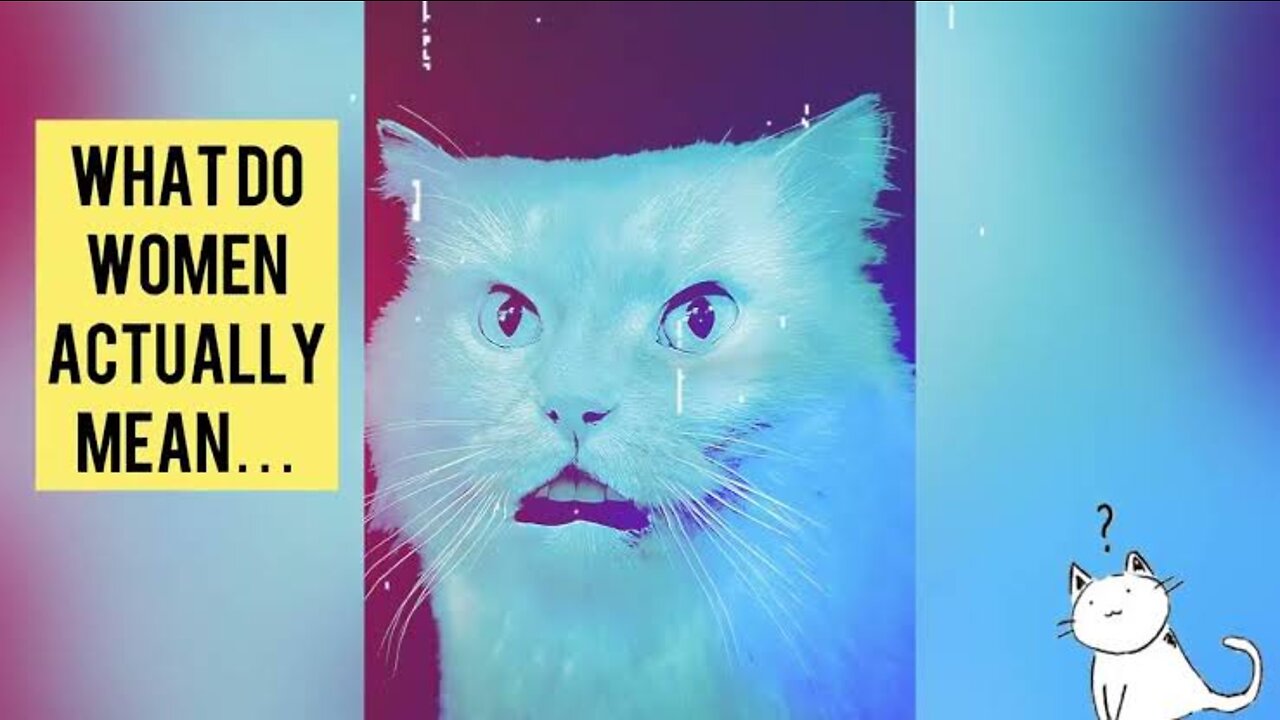 What Do Women Actually Mean (When They Say These 12 Things)? Funny Cat Video #bluecatmax Reactions