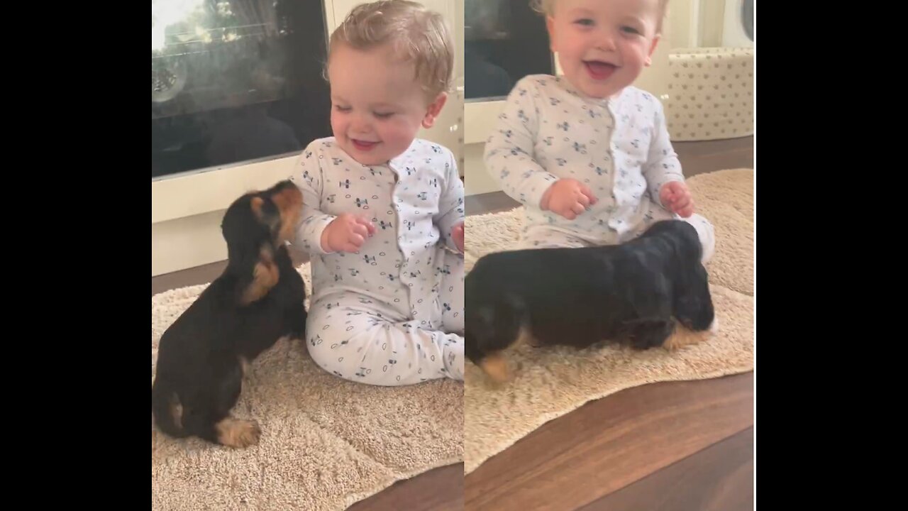 Baby and New Puppy are Friends at First Sight