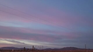 Wonder Valley Sunrise With Puppies