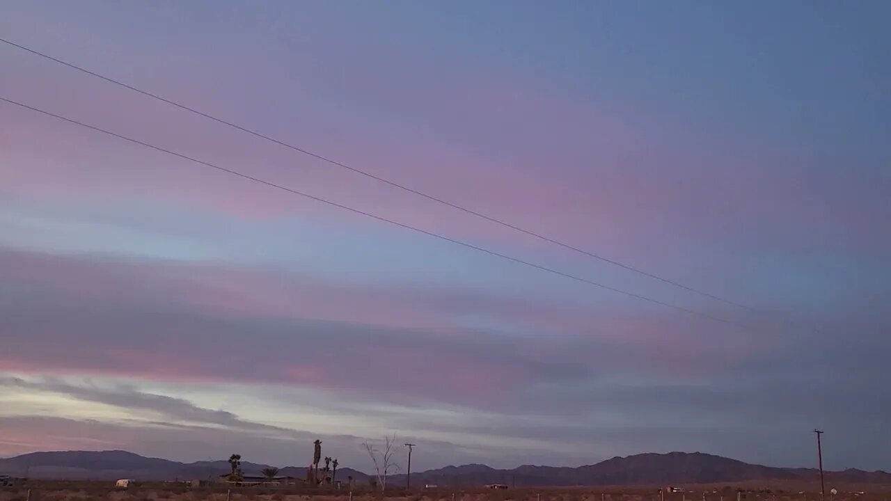 Wonder Valley Sunrise With Puppies