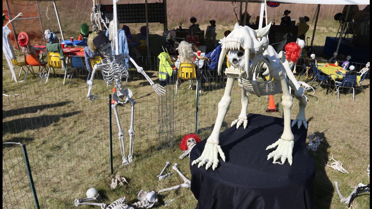 Holy Hill Skeletons goes with 'Festiskull' display