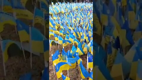 Results of the AFU counteroffensive, 1 flag, 1 dead Ukrainian soldier