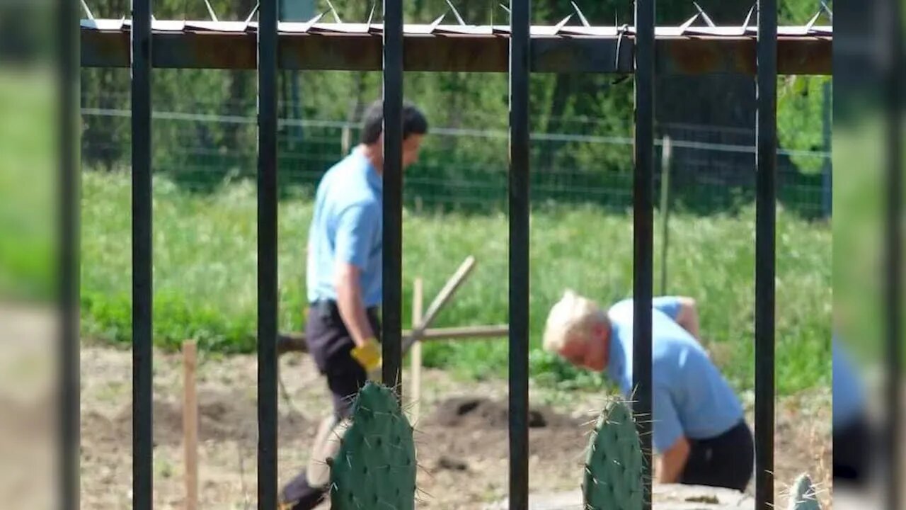 Scientologist Reported Dead 17 Years Ago Found Alive