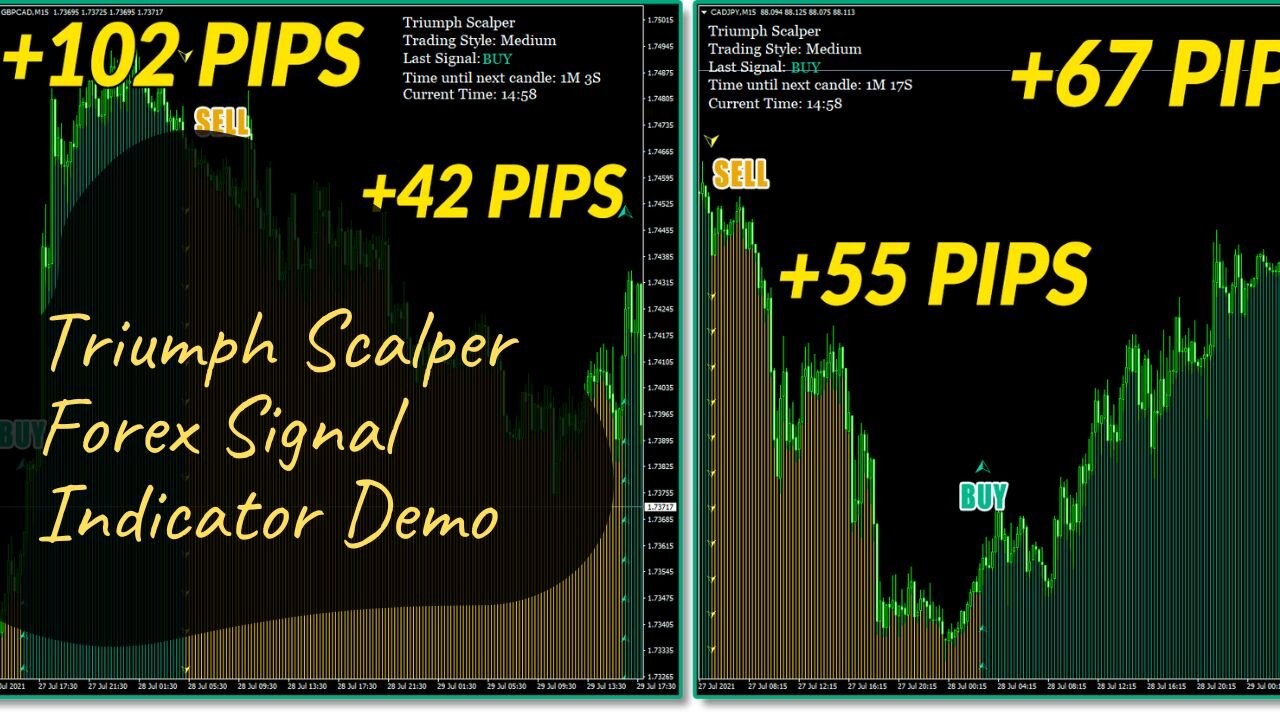 Triumph Scalper Forex Signal Indicator Demo