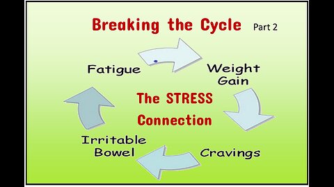 Breaking the Vicious Cycle part 2; STRESS