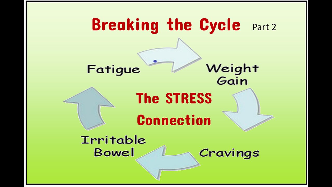 Breaking the Vicious Cycle part 2; STRESS