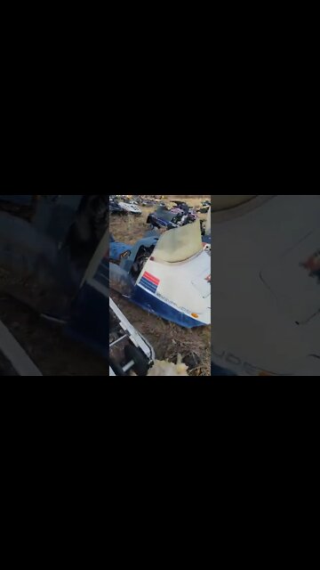 #shorts #2022 funny,prank,funjokes,dad jokes,funny memes,funny video,fun,laughing,funny animal,knock