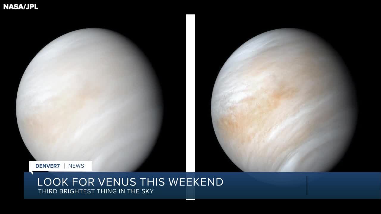 Venus is visible this weekend in the night sky
