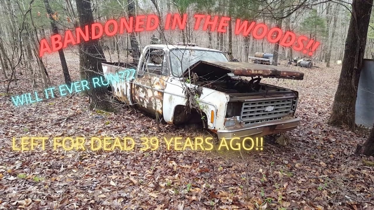 Abandoned in the woods for 39 years!! Will this 1975 C20 ever run again??? | Part 1