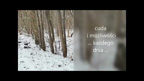 cuda i możliwości każdego dnia...