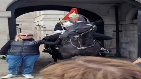 The Queen's Guard shouts tourist for holding horses reins #horseguardsparade