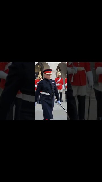 inspection of the uniform #horseguardsparade