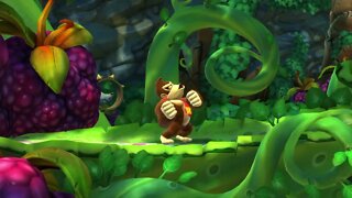 Donkey Kong Country: Tropical Freeze | Juicy Jungle