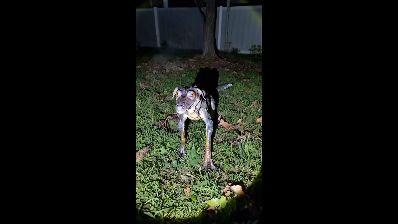 😳😱🐾