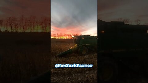 Last night's Sunset could not have been more perfect 🙌 #harvest2023 #cropfarmer #johndeere