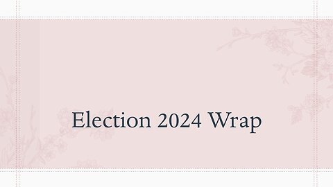 Election 2024 Wrap