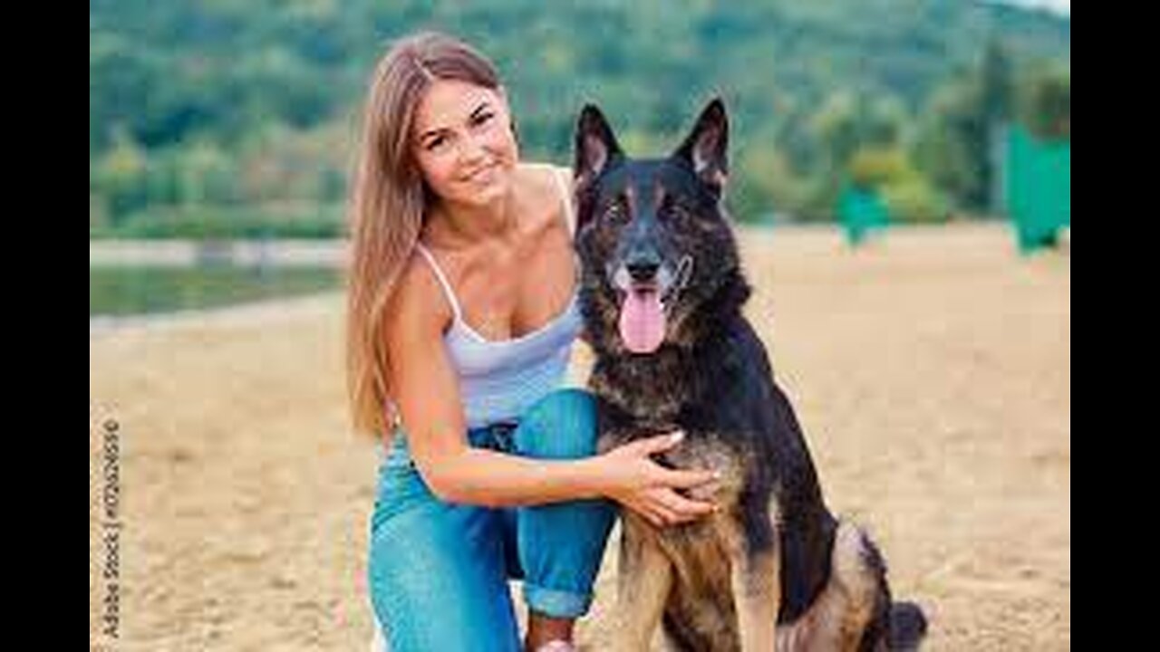 Dog Fan Of Tennis Balls Gets To Chase Them To His Heart's Content