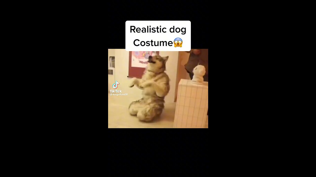 Realistic Dog Costume