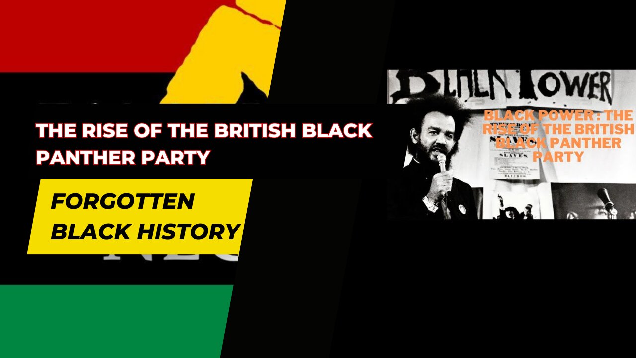 THE RISE OF THE BRITISH BLACK PANTHER PARTY