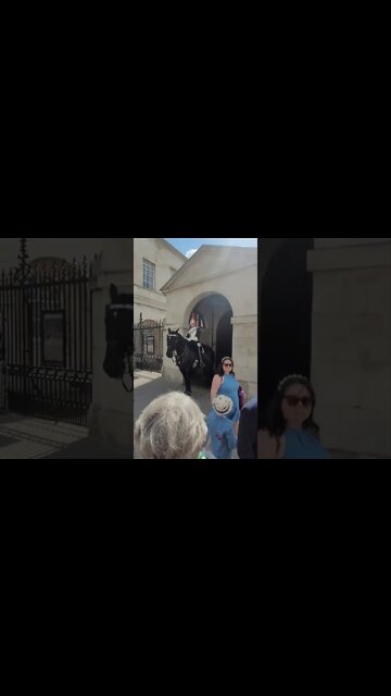Tourist touches his boot the queen's guard Shouts stand back #horseguardsparade