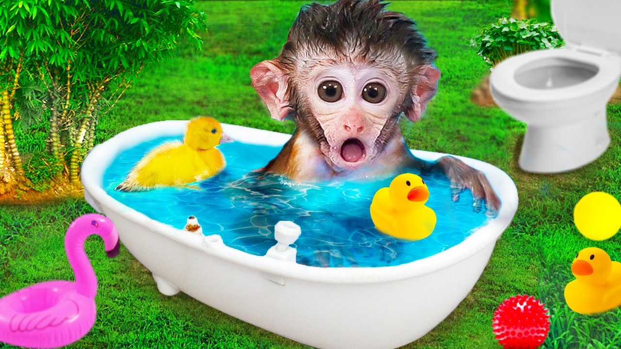 Funny monkey baby playing