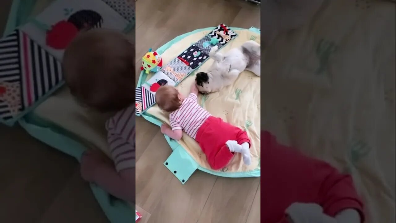 The Love Between These Two