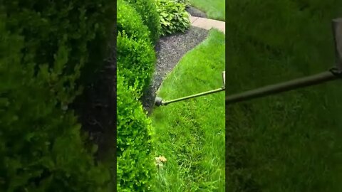 Satisfying Lawn Care | Shorts