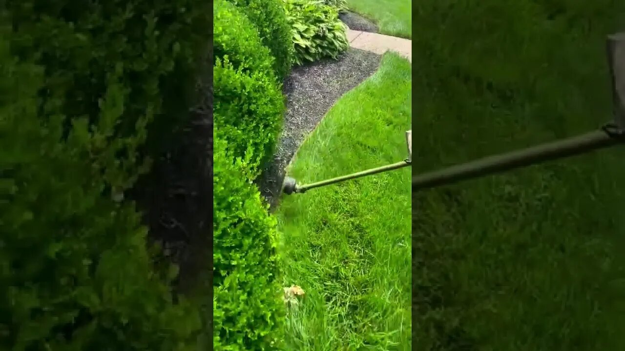 Satisfying Lawn Care | Shorts