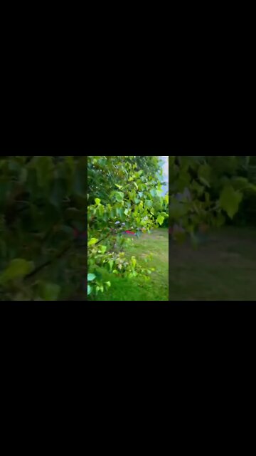 Parlee Camping in New Brunswick