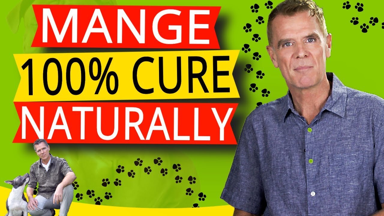 HOW TO TREAT MANGE IN DOGS NATURALLY (100% EFFECTIVE HOME REMEDY)