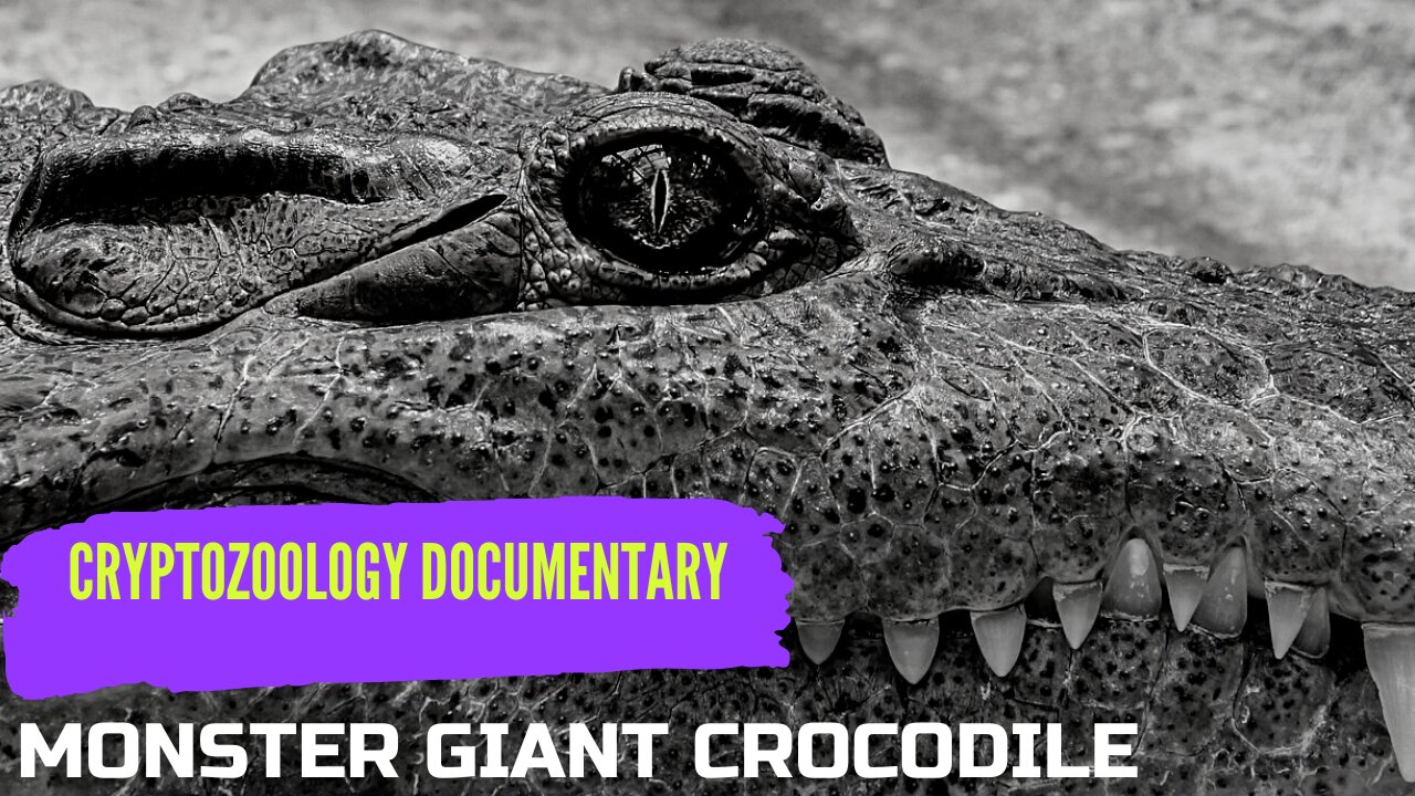 Cryptozoology Documentary - Monster giant crocodile