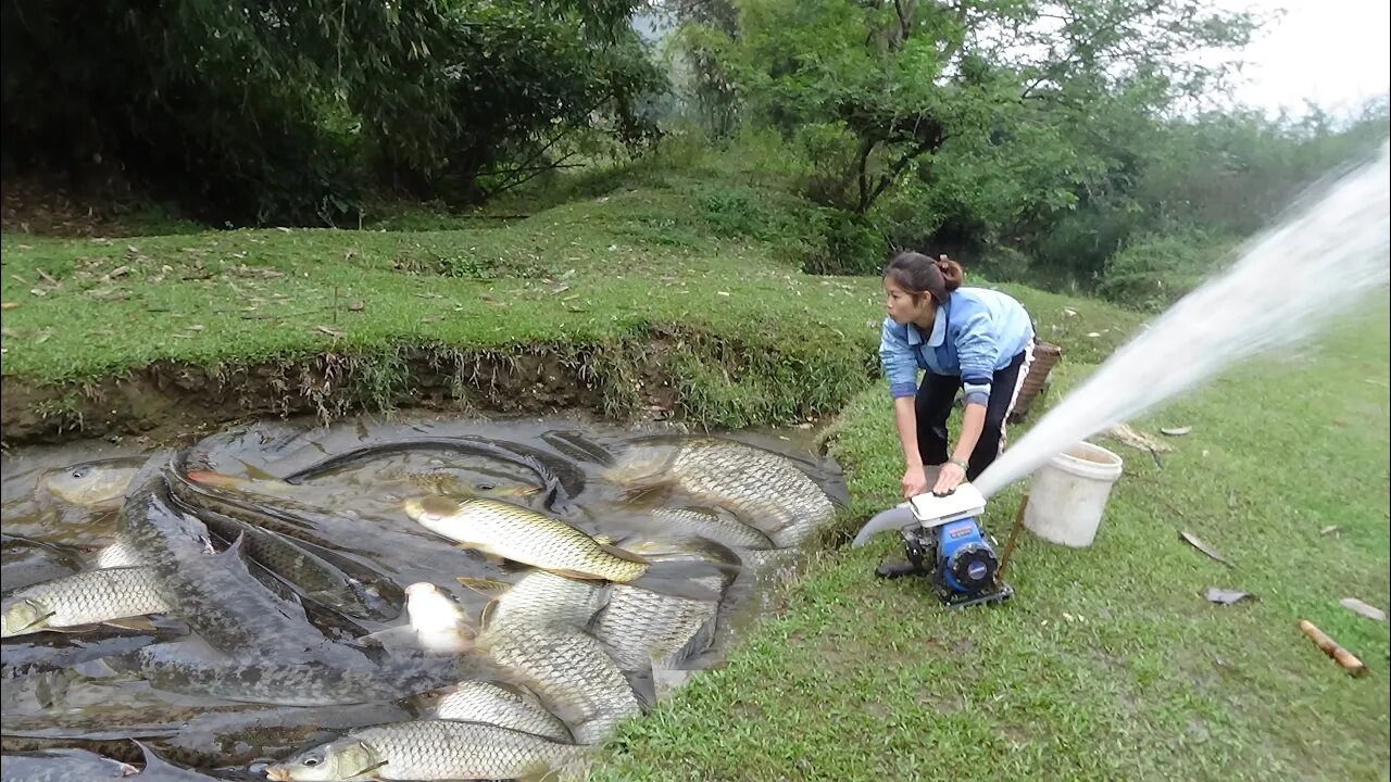 Fishing Techniques, Catching Fish With Pump, Catching A Lot Of Fish In The Wild Lake