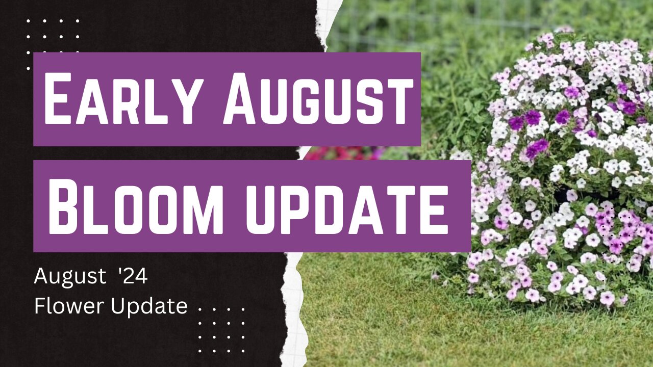 Early August '24 Flower Update