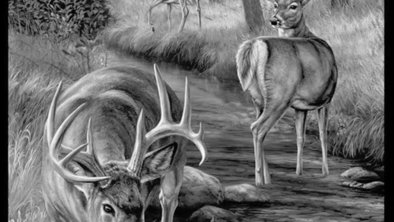 November bucks