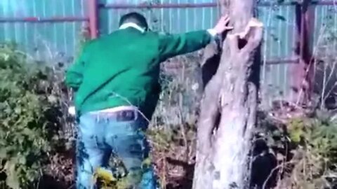 ЧТО СЛУЧИЛОСЬ С МОИМ ЗАБОРОМ ?!