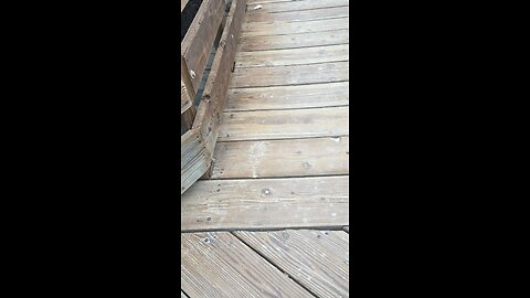 Watching the ocean from the boardwalk