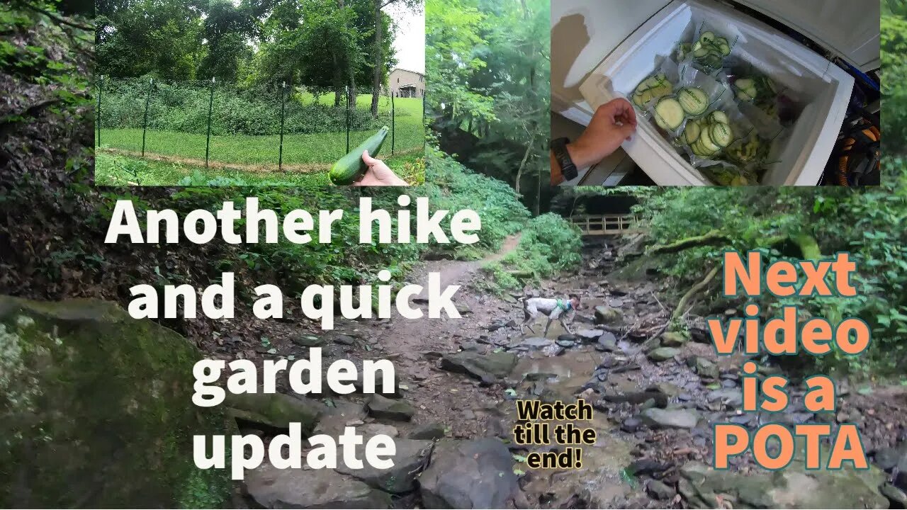 We did another 10 mile hike at Raccoon. Garden update