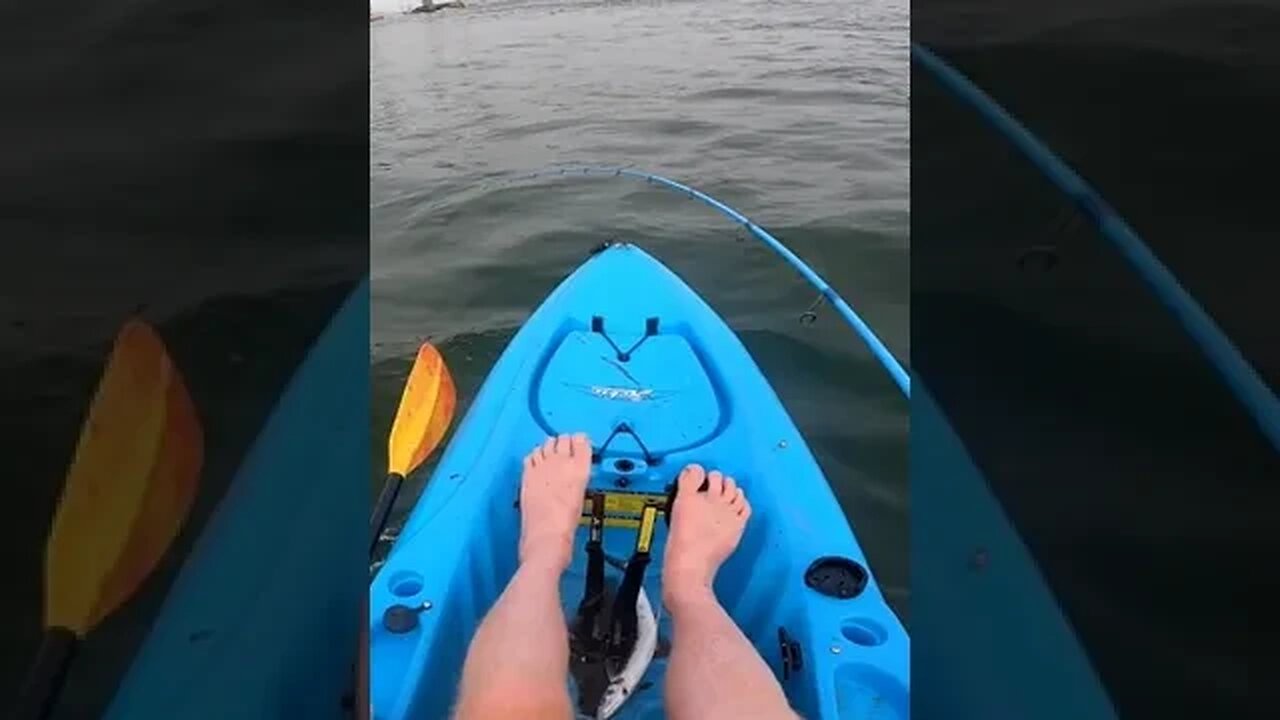 These TOOTHY FISH are CRAZY FAST! #kayakfishing #spanishmackerel