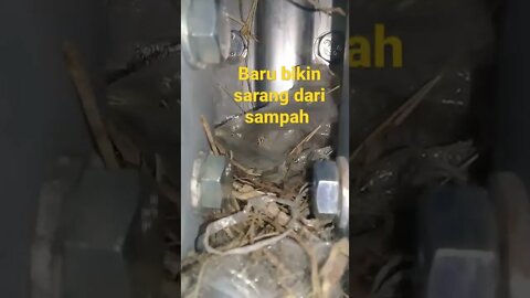 bikin sarang baru tapi kok dari sampah sarang nya,#short