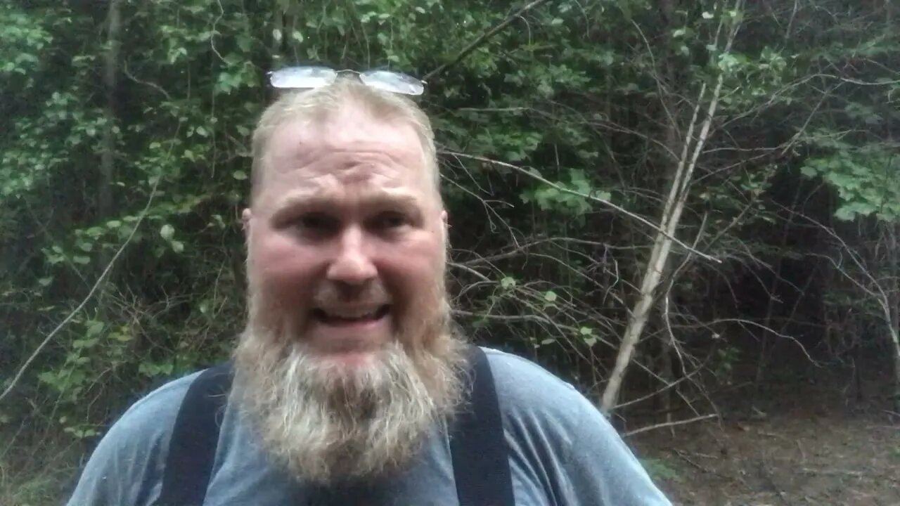 The money question, am I getting rich from permaculture?