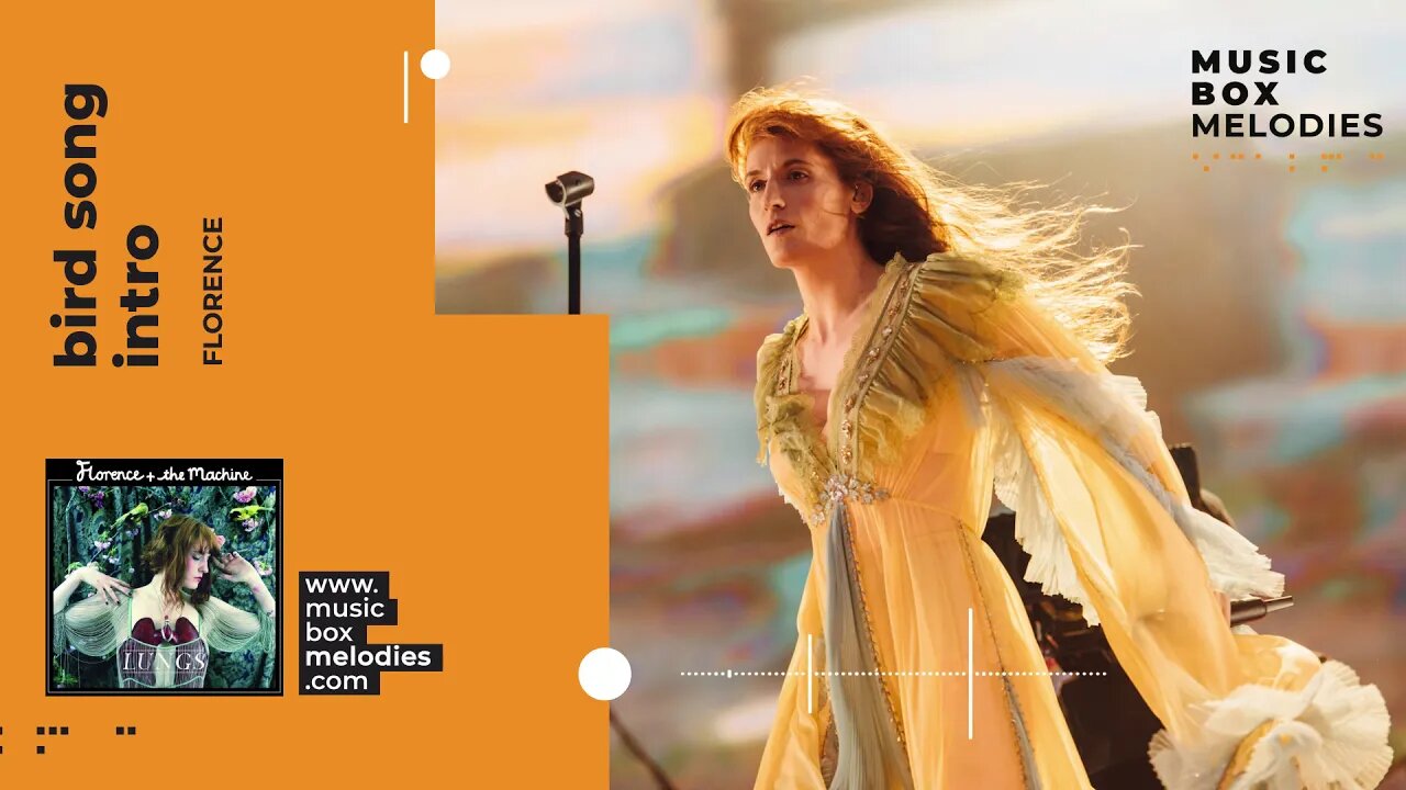 [Music box melodies] - Bird Song Intro by Florence