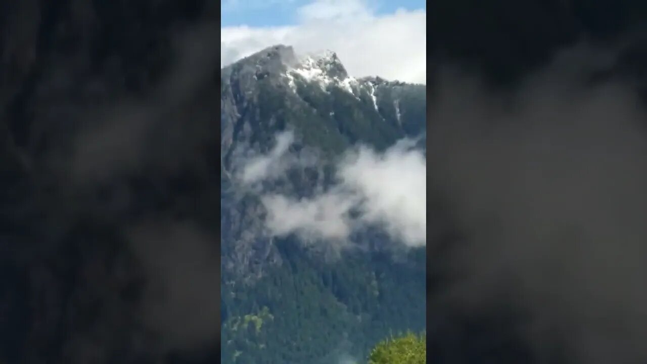 Snoqualmie, Mt. Si..., Herd of Elk-!-May 21, 2022-!-