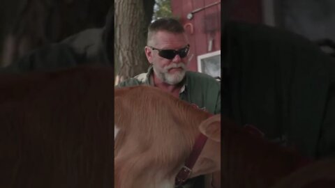 Feeding Our Orphaned Bull Calf