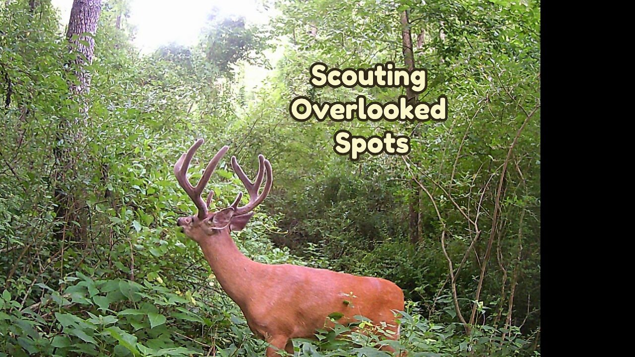 Scouting Overlooked Spots