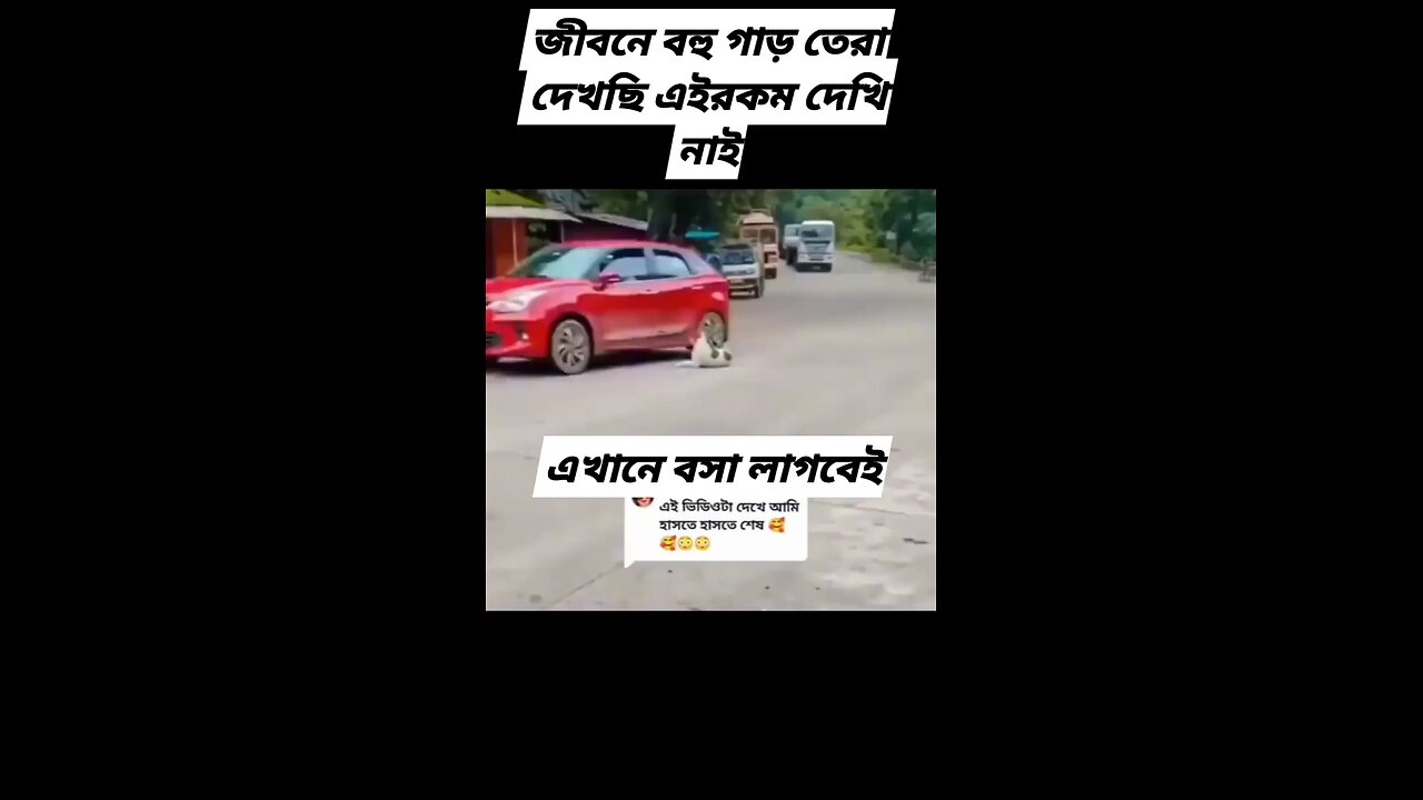 #ঘাড়ত্যাড়া_কুকুর..😁😁🐕‍🦺🦮