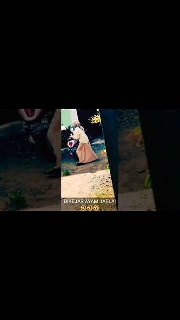 dikejar ayam jantan || ayam kesurupan - possessed chicken #shorts #chicken #funnycat #ayamjagohutan