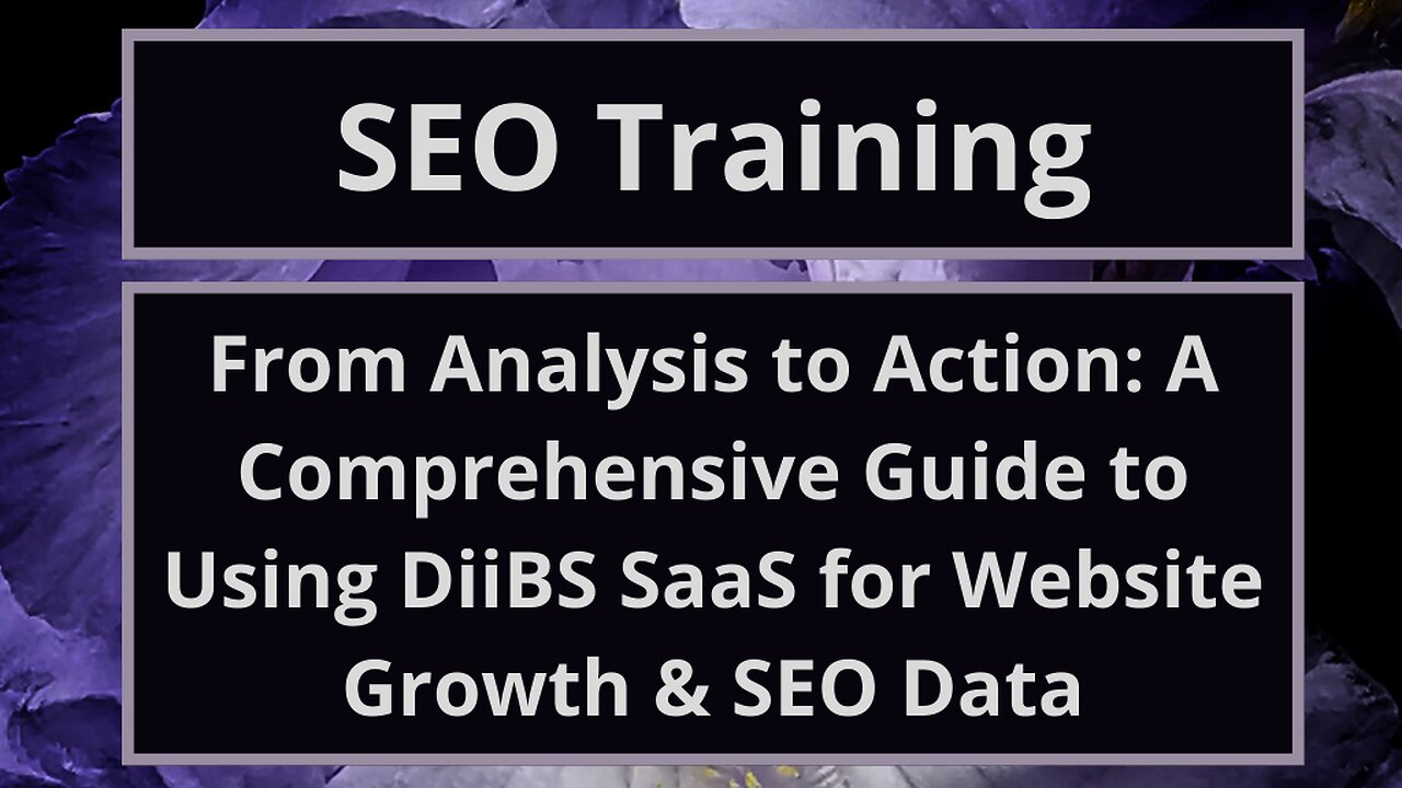 From Analysis to Action: A Comprehensive Guide to Using DiiBS SaaS for Website Growth & SEO Data