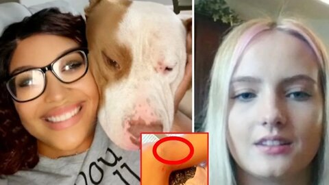 When Dog Owners Go Wrong